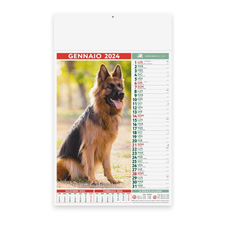 Calendario Cani e Gatti art. PA108